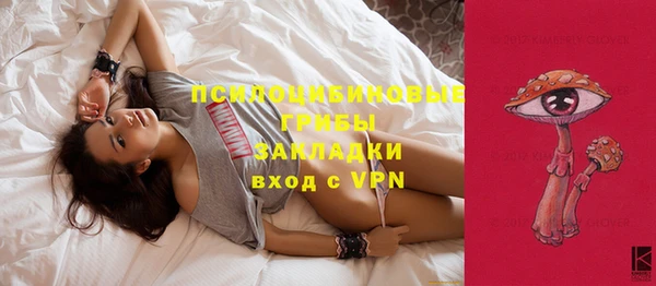 apvp Магадан
