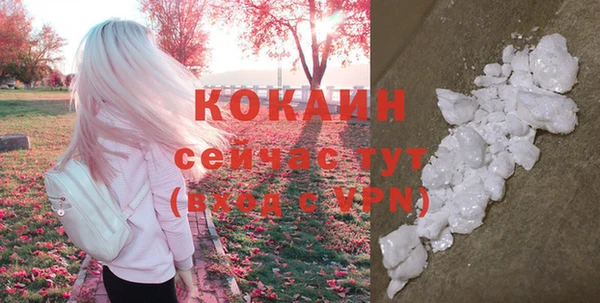 бошки Чегем