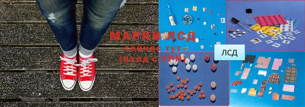 ECSTASY Магас