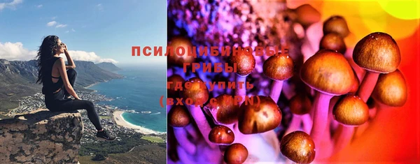 ECSTASY Магас