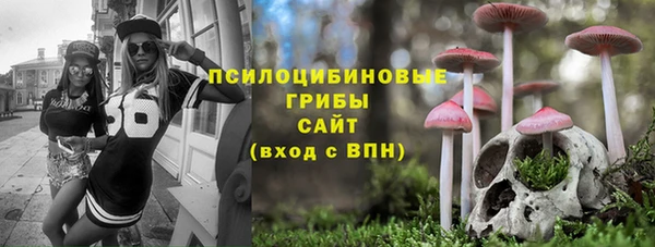 ECSTASY Магас